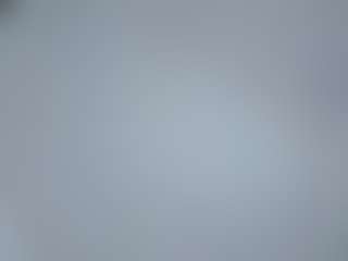 Ann's Live Sex Cam Show