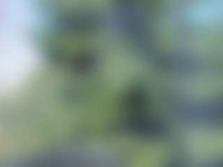 sassyt33n's Live Sex Cam Show