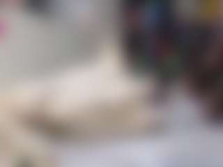 HayleeX's Live Sex Cam Show