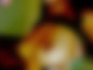 GeeTox's Live Sex Cam Show