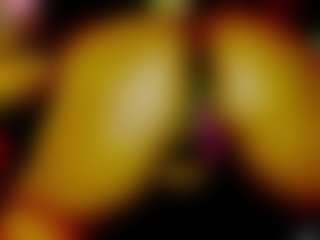 GeeTox's Live Sex Cam Show