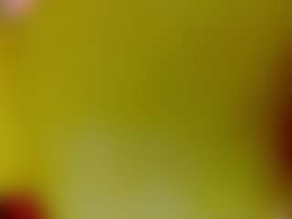 Live cam show with GeeTox - Brown Eyes Lovense on Nude Chat * 1 On 1 Webcam Sex * Live Cam Show