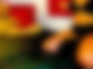GeeTox's Live Sex Cam Show