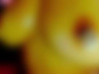 GeeTox's Live Sex Cam Show
