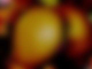 GeeTox's Live Sex Cam Show