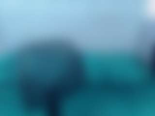alanajonees's Live Sex Cam Show