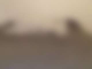 Sexy Marlee's Live Sex Cam Show