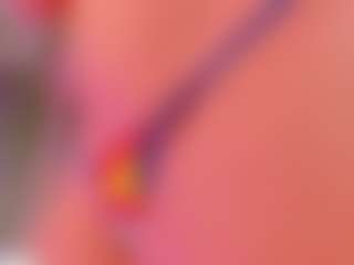 nycdiamond's Live Sex Cam Show