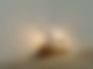 alice-fox's Live Sex Cam Show