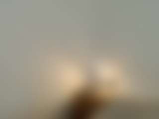 alice-fox's Live Sex Cam Show