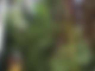 saamytits's Live Sex Cam Show