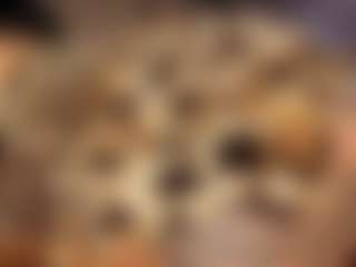 saamytits's Live Sex Cam Show