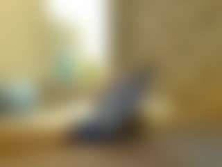 ms412's Live Sex Cam Show