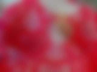 alexispixie's Live Sex Cam Show