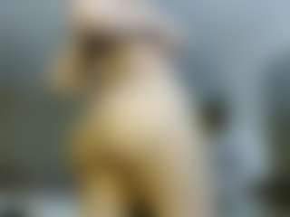 Live cam show with ariadna - Bedroom on Dolls Live