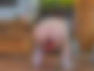 TinyToni's Live Sex Cam Show