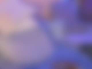 Live cam show with tamara-soul - Fetish Latina on CamClone | colombia