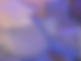 Live cam show with tamara-soul - Black Shaved Pussy on livesuperchat.net