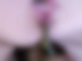 LadyAndTranny's Live Sex Cam Show