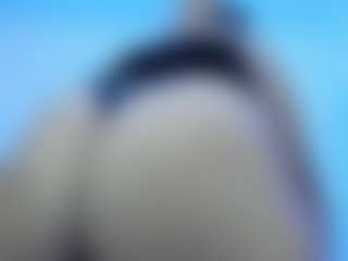 Kristen_latin