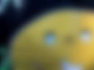 Kristen_latin