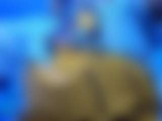 kristen_latin's Live Sex Cam Show