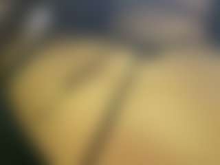 SaritaNice's Live Sex Cam Show