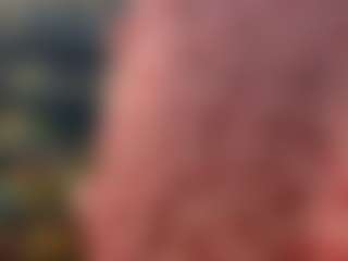 SaritaNice's Live Sex Cam Show