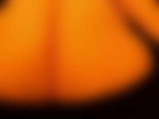 Live cam show with gabbyhaze - BBW on Hubzter Live