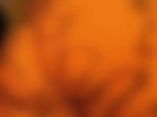 gabbyhaze's Live Sex Cam Show