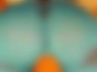 gabbyhaze's Live Sex Cam Show