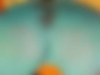 gabbyhaze's Live Sex Cam Show