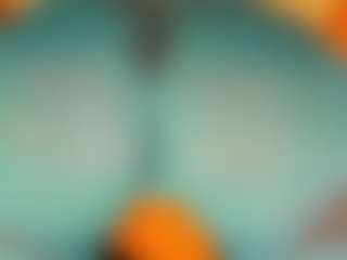 gabbyhaze's Live Sex Cam Show