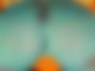 gabbyhaze's Live Sex Cam Show