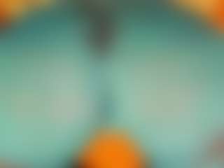 gabbyhaze's Live Sex Cam Show