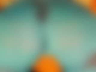 gabbyhaze's Live Sex Cam Show