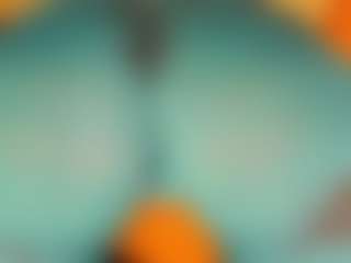 gabbyhaze's Live Sex Cam Show