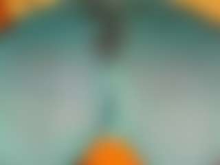 gabbyhaze's Live Sex Cam Show