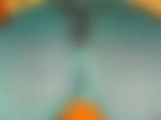 gabbyhaze's Live Sex Cam Show