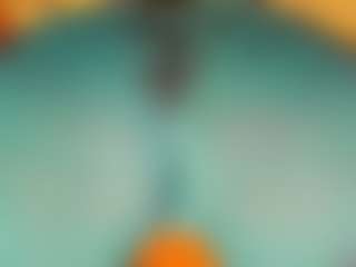 gabbyhaze's Live Sex Cam Show