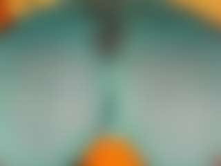 gabbyhaze's Live Sex Cam Show