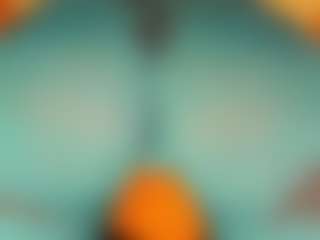gabbyhaze's Live Sex Cam Show