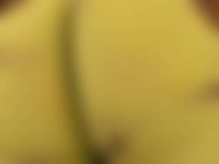 Live cam show with gabbyhaze - Cute on xDating