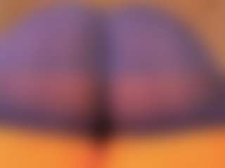 gabbyhaze's Live Sex Cam Show