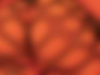 gabbyhaze's Live Sex Cam Show