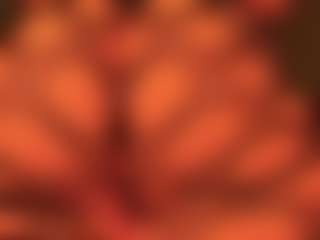 gabbyhaze's Live Sex Cam Show