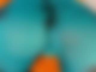 gabbyhaze's Live Sex Cam Show