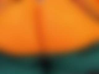 gabbyhaze's Live Sex Cam Show
