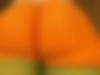 gabbyhaze's Live Sex Cam Show