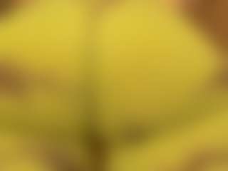 gabbyhaze's Live Sex Cam Show